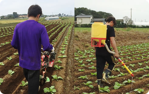 3．追肥・管理機